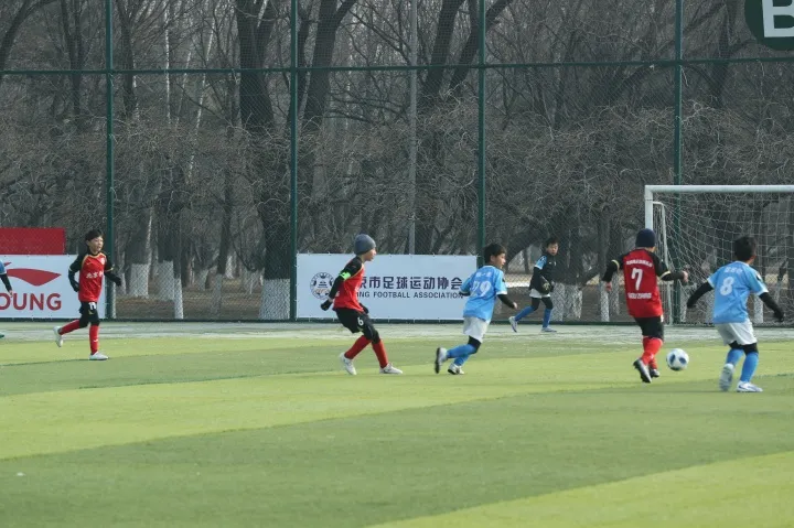 2026耕耘杯U10精英赛落幕 16队角逐30场