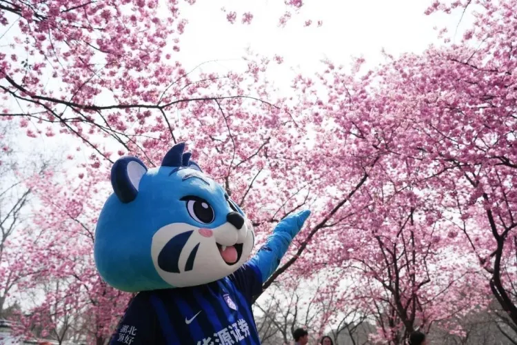 武汉三镇启动城市联动计划 吉祥物现身东湖樱园