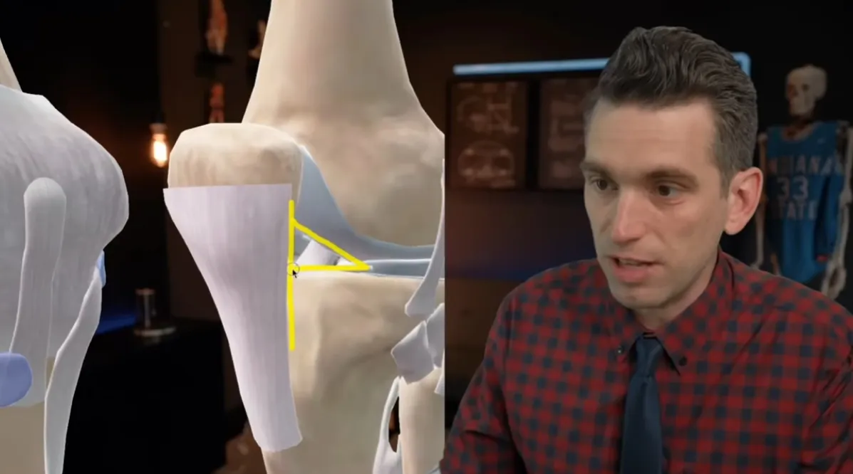 东契奇库里膝上血迹真相 反复地板擦伤致疤痕撕裂渗血