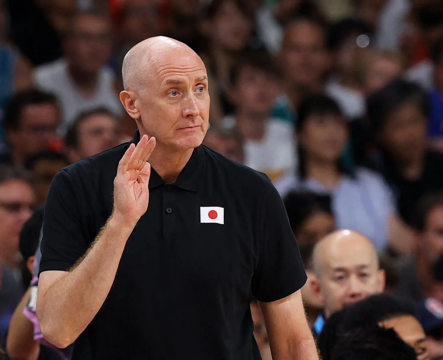 郑志龙爆料中国男篮选帅内幕 高层否决霍瓦斯力主本土教练